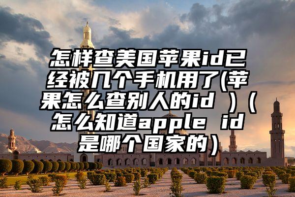 怎样查美国苹果id已经被几个手机用了(苹果怎么查别人的id )（怎么知道apple id是哪个国家的）
