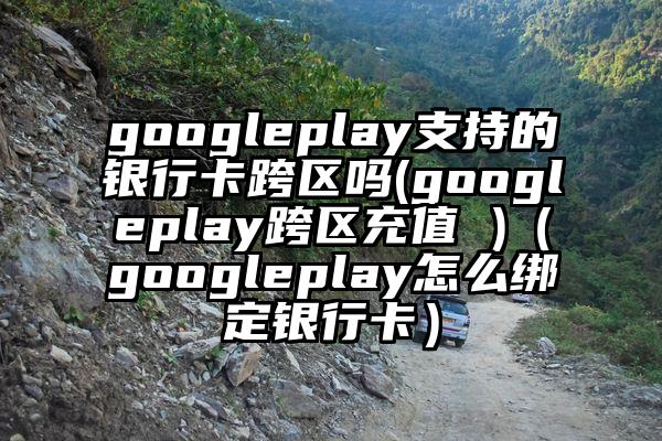 googleplay支持的银行卡跨区吗(googleplay跨区充值 )（googleplay怎么绑定银行卡）