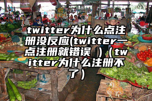 twitter为什么点注册没反应(twitter一点注册就错误 )（twitter为什么注册不了）