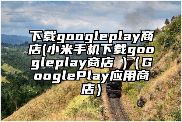 下载googleplay商店(小米手机下载googleplay商店 )（GooglePlay应用商店）