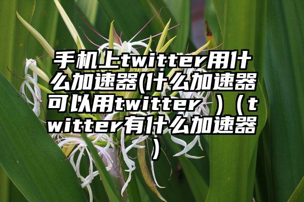 手机上twitter用什么加速器(什么加速器可以用twitter )（twitter有什么加速器）