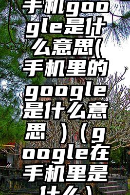 手机google是什么意思(手机里的google是什么意思 )（google在手机里是什么）