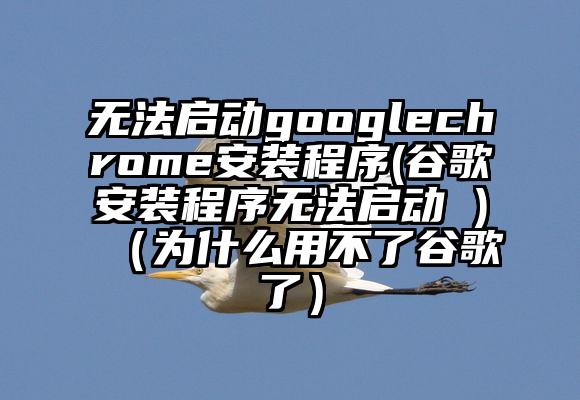 无法启动googlechrome安装程序(谷歌安装程序无法启动 )（为什么用不了谷歌了）