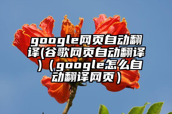 google网页自动翻译(谷歌网页自动翻译 )（google怎么自动翻译网页）