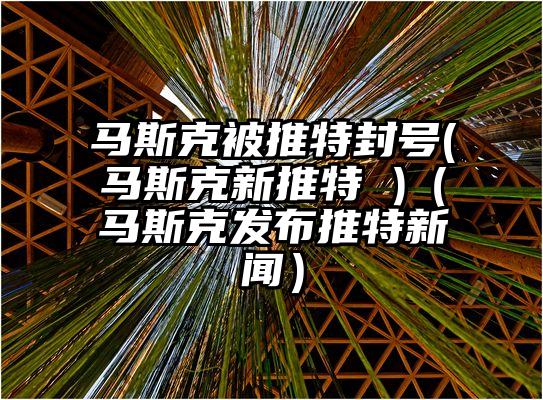 马斯克被推特封号(马斯克新推特 )（马斯克发布推特新闻）