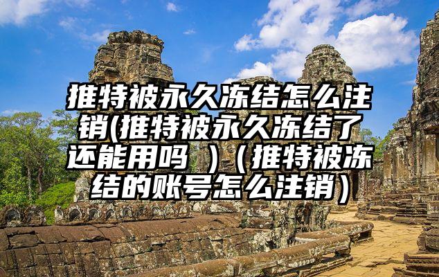 推特被永久冻结怎么注销(推特被永久冻结了还能用吗 )（推特被冻结的账号怎么注销）