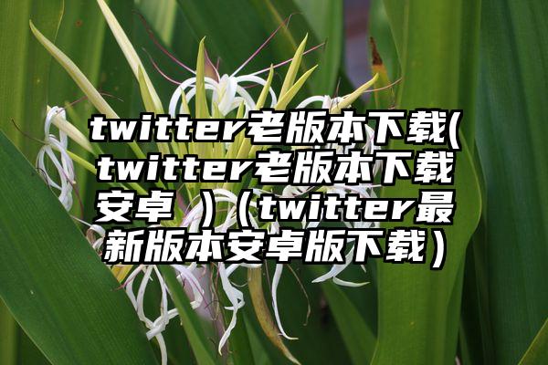 twitter老版本下载(twitter老版本下载安卓 )（twitter最新版本安卓版下载）