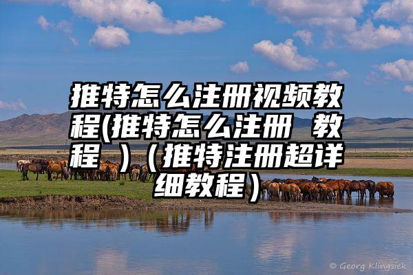 推特怎么注册视频教程(推特怎么注册 教程 )（推特注册超详细教程）