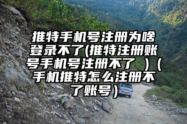 推特手机号注册为啥登录不了(推特注册账号手机号注册不了 )（手机推特怎么注册不了账号）