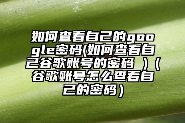如何查看自己的google密码(如何查看自己谷歌账号的密码 )（谷歌账号怎么查看自己的密码）