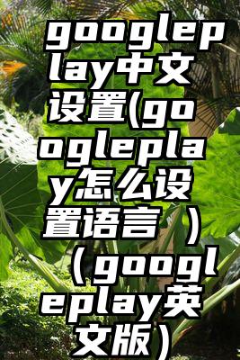 googleplay中文设置(googleplay怎么设置语言 )（googleplay英文版）
