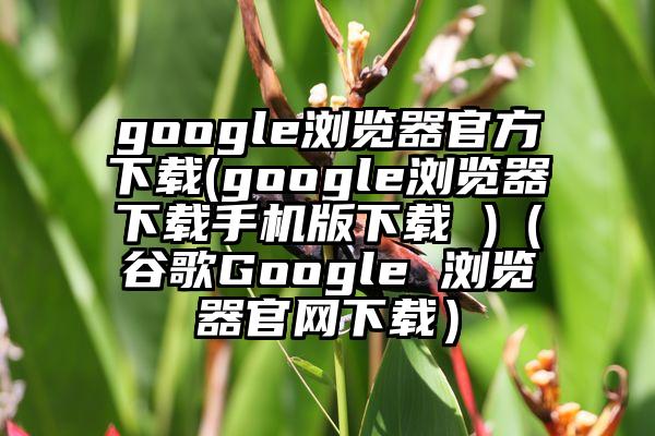 google浏览器官方下载(google浏览器下载手机版下载 )（谷歌Google 浏览器官网下载）
