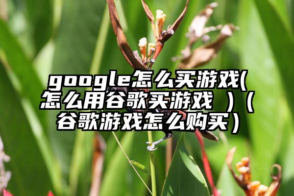 google怎么买游戏(怎么用谷歌买游戏 )（谷歌游戏怎么购买）