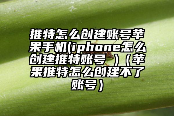 推特怎么创建账号苹果手机(iphone怎么创建推特账号 )（苹果推特怎么创建不了账号）