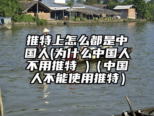 推特上怎么都是中国人(为什么中国人不用推特 )(中国人不能使用推特)