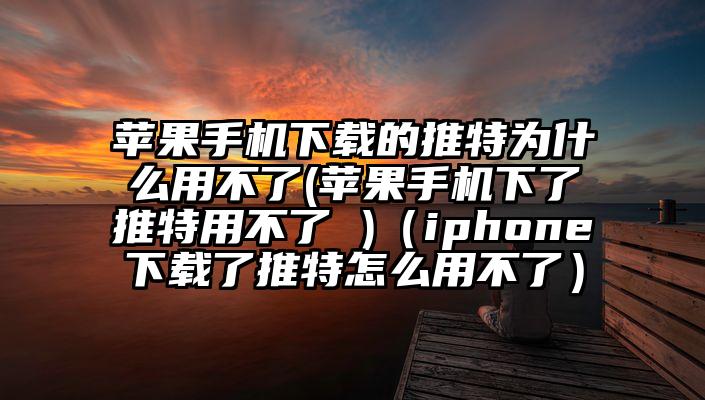 苹果手机下载的推特为什么用不了(苹果手机下了推特用不了 )（iphone下载了推特怎么用不了）