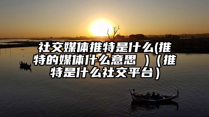 社交媒体推特是什么(推特的媒体什么意思 )（推特是什么社交平台）