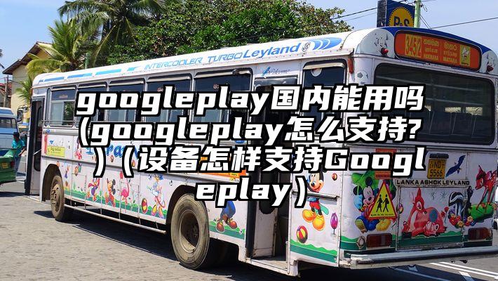 googleplay国内能用吗(googleplay怎么支持? )（设备怎样支持Googleplay）