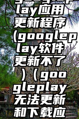 googleplay应用更新程序(googleplay软件更新不了 )（googleplay无法更新和下载应用）