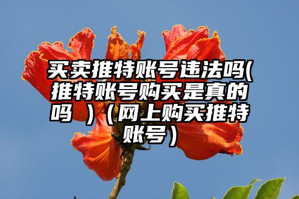 买卖推特账号违法吗(推特账号购买是真的吗 )（网上购买推特账号）