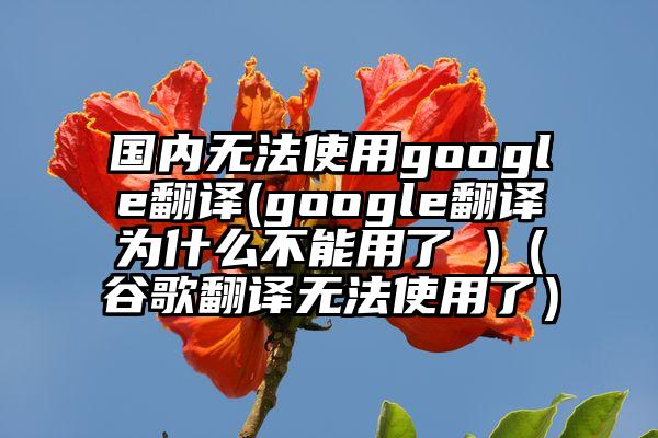 国内无法使用google翻译(google翻译为什么不能用了 )（谷歌翻译无法使用了）