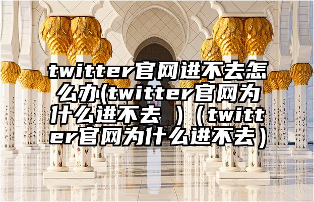 twitter官网进不去怎么办(twitter官网为什么进不去 )（twitter官网为什么进不去）