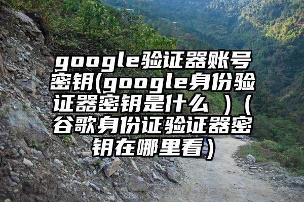 google验证器账号密钥(google身份验证器密钥是什么 )（谷歌身份证验证器密钥在哪里看）