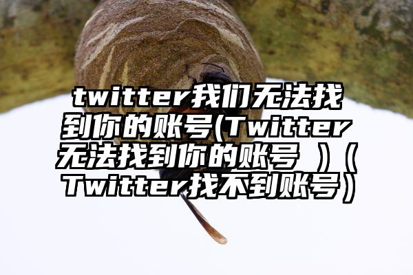 twitter我们无法找到你的账号(Twitter无法找到你的账号 )（Twitter找不到账号）