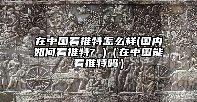 在中国看推特怎么样(国内如何看推特? )（在中国能看推特吗）