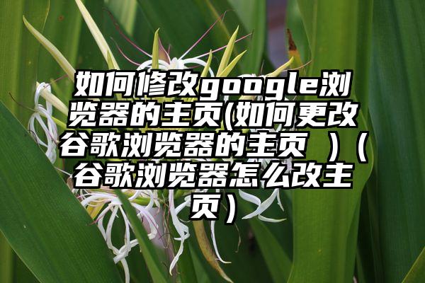如何修改google浏览器的主页(如何更改谷歌浏览器的主页 )（谷歌浏览器怎么改主页）