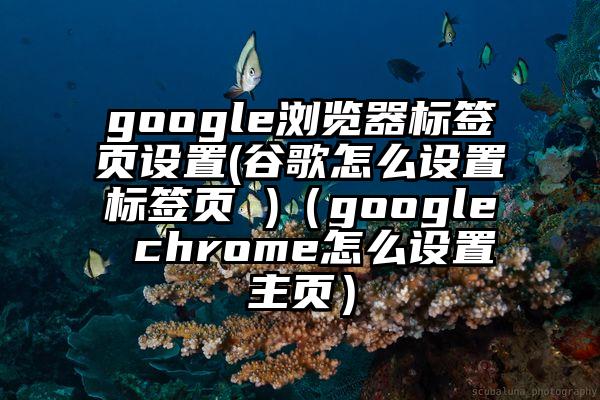 google浏览器标签页设置(谷歌怎么设置标签页 )（google chrome怎么设置主页）