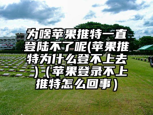 为啥苹果推特一直登陆不了呢(苹果推特为什么登不上去 )（苹果登录不上推特怎么回事）