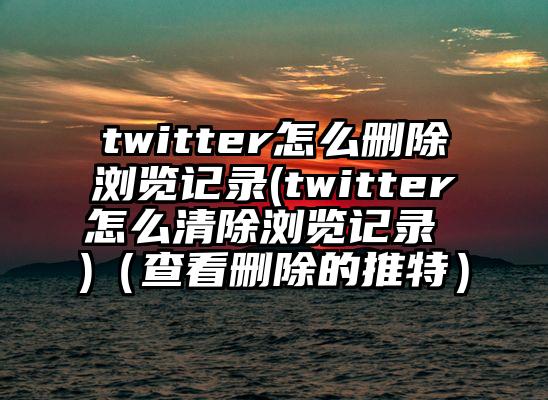 twitter怎么删除浏览记录(twitter怎么清除浏览记录 )（查看删除的推特）