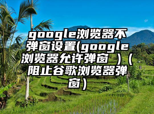 google浏览器不弹窗设置(google浏览器允许弹窗 )（阻止谷歌浏览器弹窗）