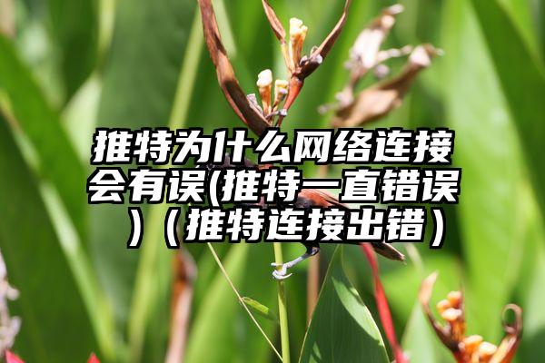 推特为什么网络连接会有误(推特一直错误 )（推特连接出错）