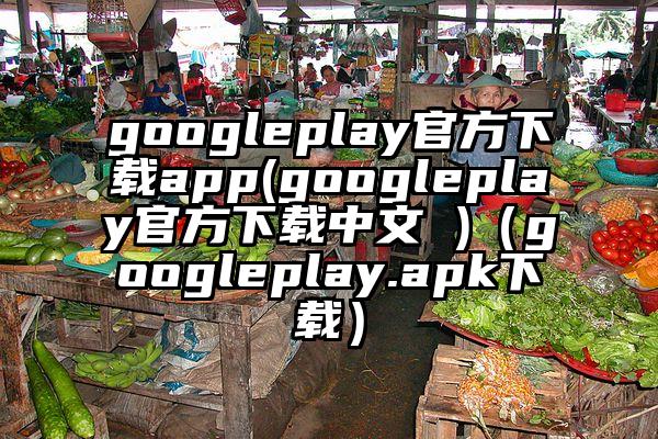 googleplay官方下载app(googleplay官方下载中文 )（googleplay.apk下载）