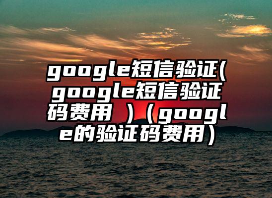 google短信验证(google短信验证码费用 )（google的验证码费用）