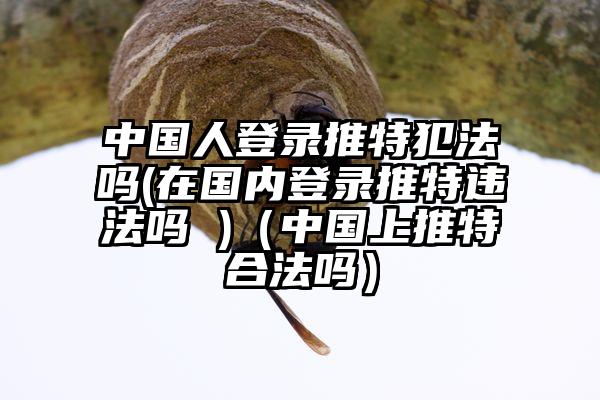 中国人登录推特犯法吗(在国内登录推特违法吗 )（中国上推特合法吗）