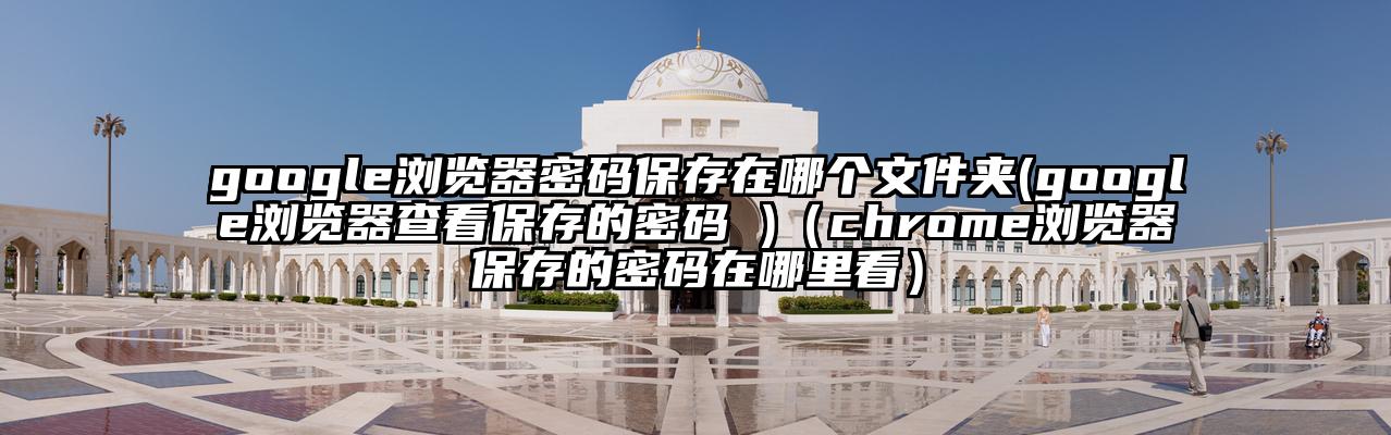 google浏览器密码保存在哪个文件夹(google浏览器查看保存的密码 )（chrome浏览器保存的密码在哪里看）