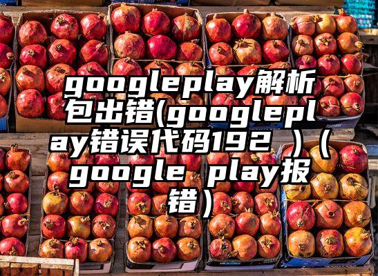 googleplay解析包出错(googleplay错误代码192 )（google play报错）