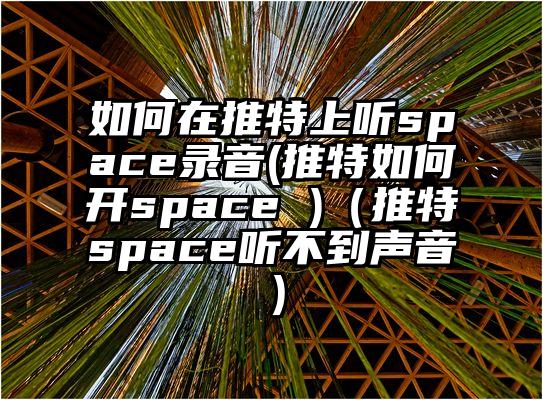 如何在推特上听space录音(推特如何开space )（推特space听不到声音）