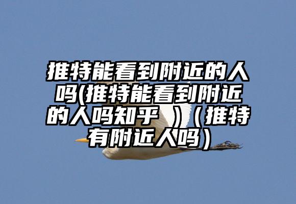 推特能看到附近的人吗(推特能看到附近的人吗知乎 )（推特有附近人吗）