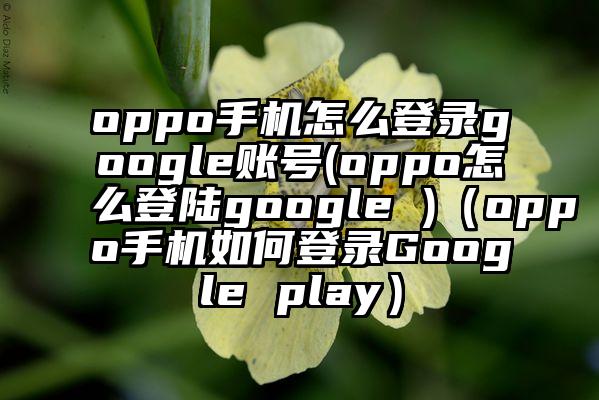 oppo手机怎么登录google账号(oppo怎么登陆google )（oppo手机如何登录Google play）