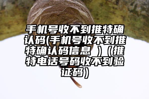 手机号收不到推特确认码(手机号收不到推特确认码信息 )（推特电话号码收不到验证码）