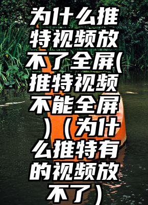 为什么推特视频放不了全屏(推特视频不能全屏 )（为什么推特有的视频放不了）
