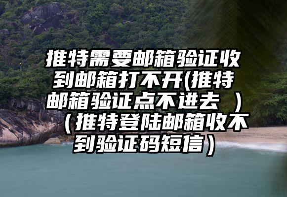 推特需要邮箱验证收到邮箱打不开(推特邮箱验证点不进去 )（推特登陆邮箱收不到验证码短信）