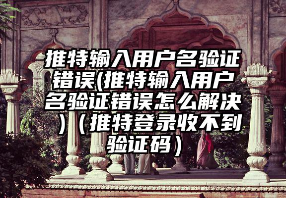 推特输入用户名验证错误(推特输入用户名验证错误怎么解决 )（推特登录收不到验证码）