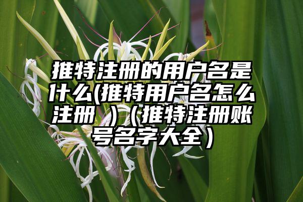 推特注册的用户名是什么(推特用户名怎么注册 )（推特注册账号名字大全）