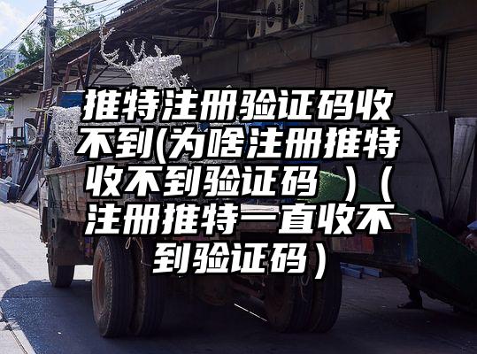 推特注册验证码收不到(为啥注册推特收不到验证码 )（注册推特一直收不到验证码）