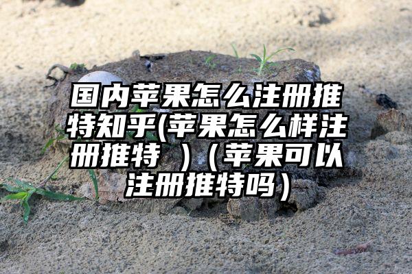 国内苹果怎么注册推特知乎(苹果怎么样注册推特 )（苹果可以注册推特吗）
